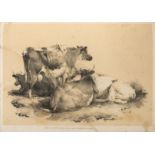 Cooper (Thomas Sidney) Studies of Cattle Drawn from Nature, c.1837; and another (2)