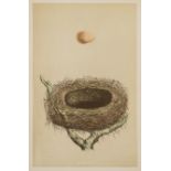 Morris (Rev. F.O.) A Natural History of Nests and Eggs, 3 vol., second edition, 228 only of 232 …