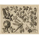 Botany. Ornamental prints.- Passe the Elder (Crispin van de, 1564-1637) and Crispin Passe the …