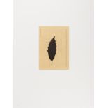 Joseph Beuys (1921-1986) Blatt auf Karteikarte