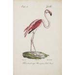 Birds.- Werner (Johann Carl) Atlas des Oiseaux d'Europe..., first edition in the original parts, …