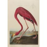 Birds.- Audubon (John James), After. The Birds of America, a reprint portfolio with ten full-size …