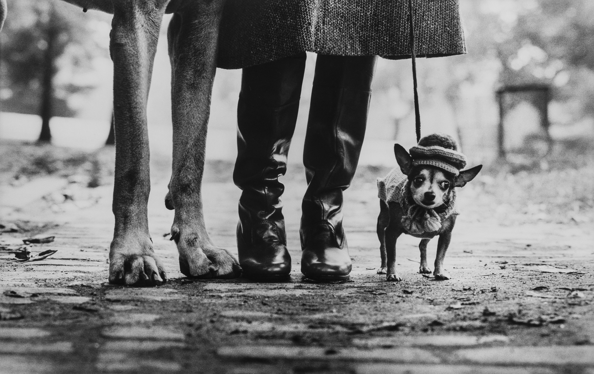 Elliott Erwitt (b.1928) New York City, 1974