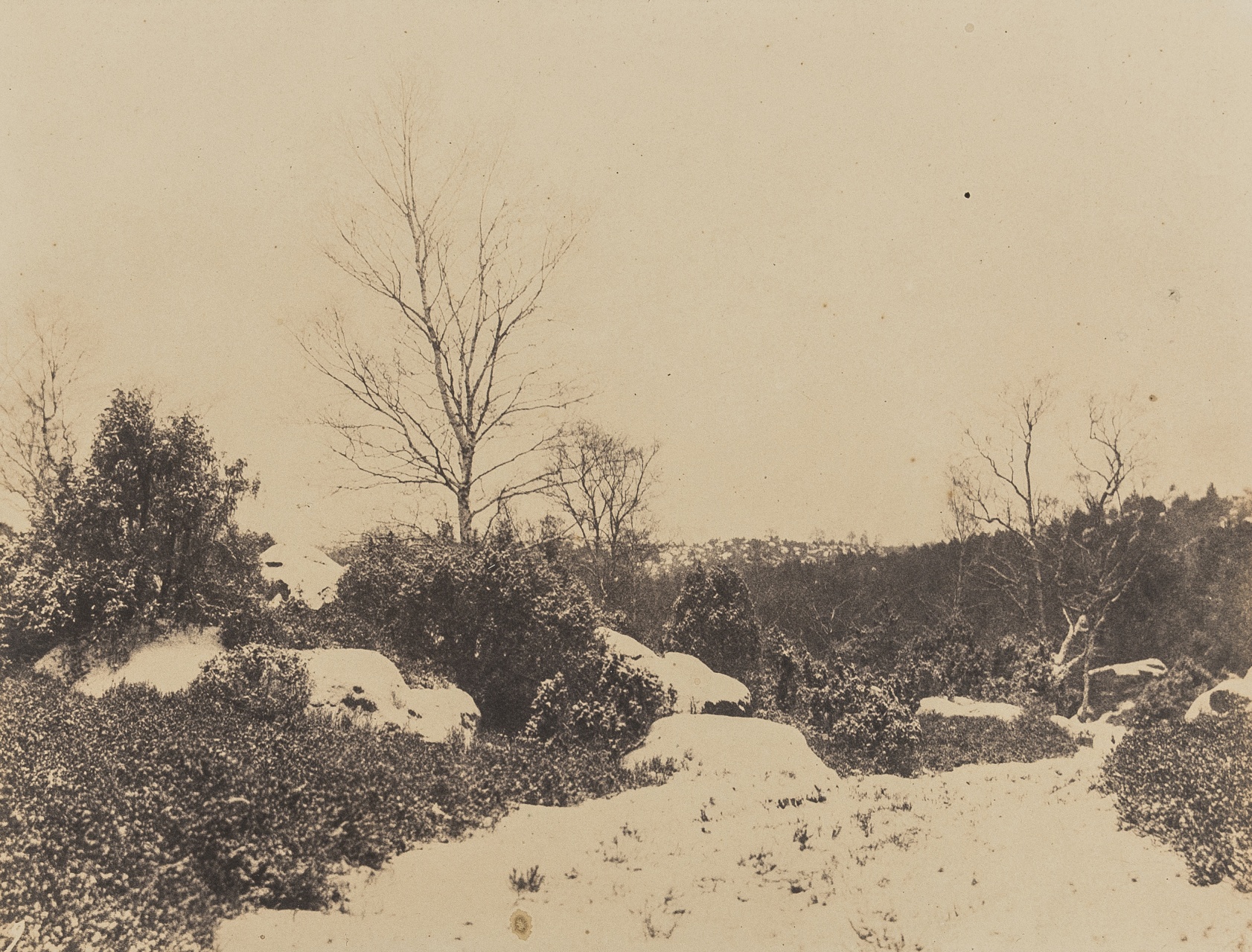 Eugène Cuvelier (1837-1900) Forêt de Fontainebleau, Sous-Bois sous la Neige, early 1860s