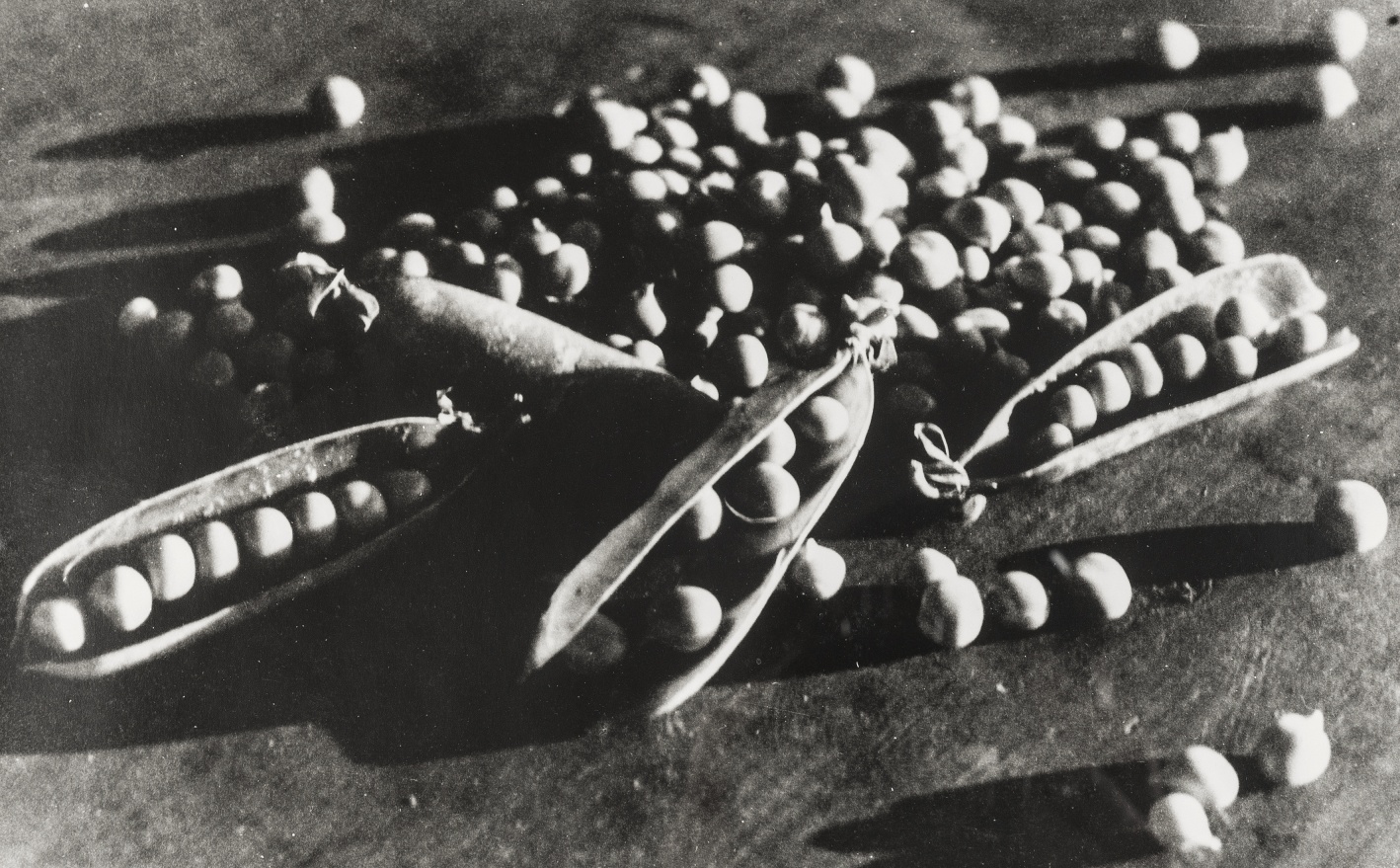 Unknown photographer, Peas In Their Pods, 1930s