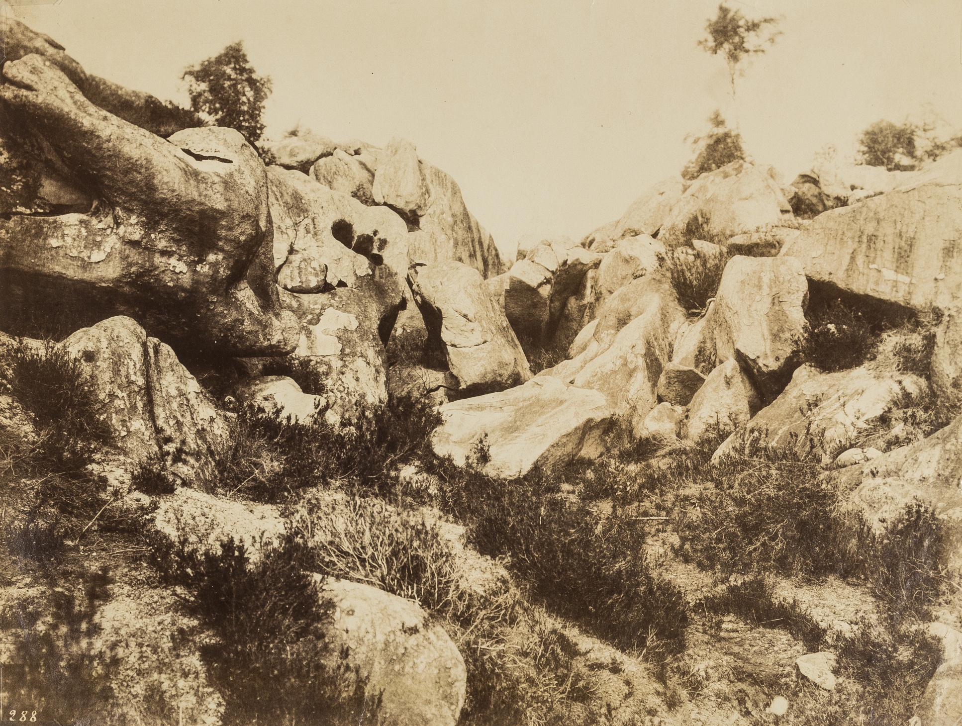 Eugène Cuvelier (1837-1900) Sables de Macherin, Fontainebleau, early 1860s