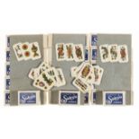 Miniature tarot packs.- Solesio of Genoa () A large group of packs of miature tarot cards, Geneva, …