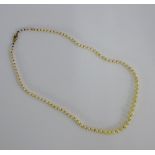 Single strand of graduated pearls with a 9 carat gold clasp