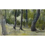 A wooded landscape watercolour, unsigned, in a glazed frame, 38 x 23cm