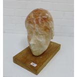 A marbled hardstone head on a rectangular wooden base, 33cm high