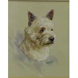 Fraser 'White Terrier' Watercolour, signed, in a glazed frame, 20 x 25cm