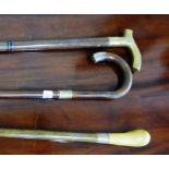 A silver mounted walking cane, together with another, (2)