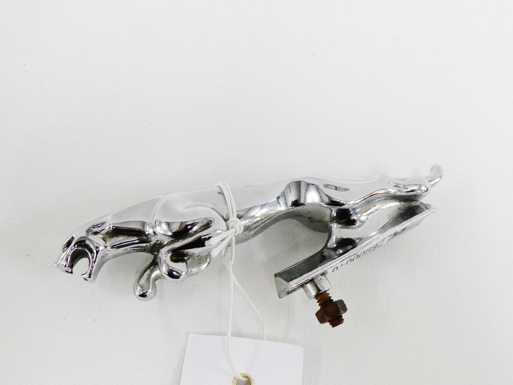 Vintage Jaguar chrome car mascot with serial number 724265WB, 13cm long