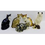 Quantity of ceramic cat figures (a lot)