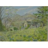 William A.H. Hull "Daffodils at Skiddaw" Watercolour, signed and dated 1954, in a glazed frame, 35 x