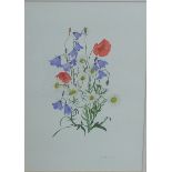 Elspeth Harrigan Botanical Watercolour, signed in pencil, in a glazed gilt wood frame, 24 x 34cm
