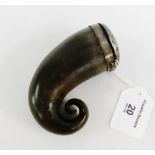Scottish curly horn snuff mull, the hinged top with inset white metal disc and collar, 9.5cm long