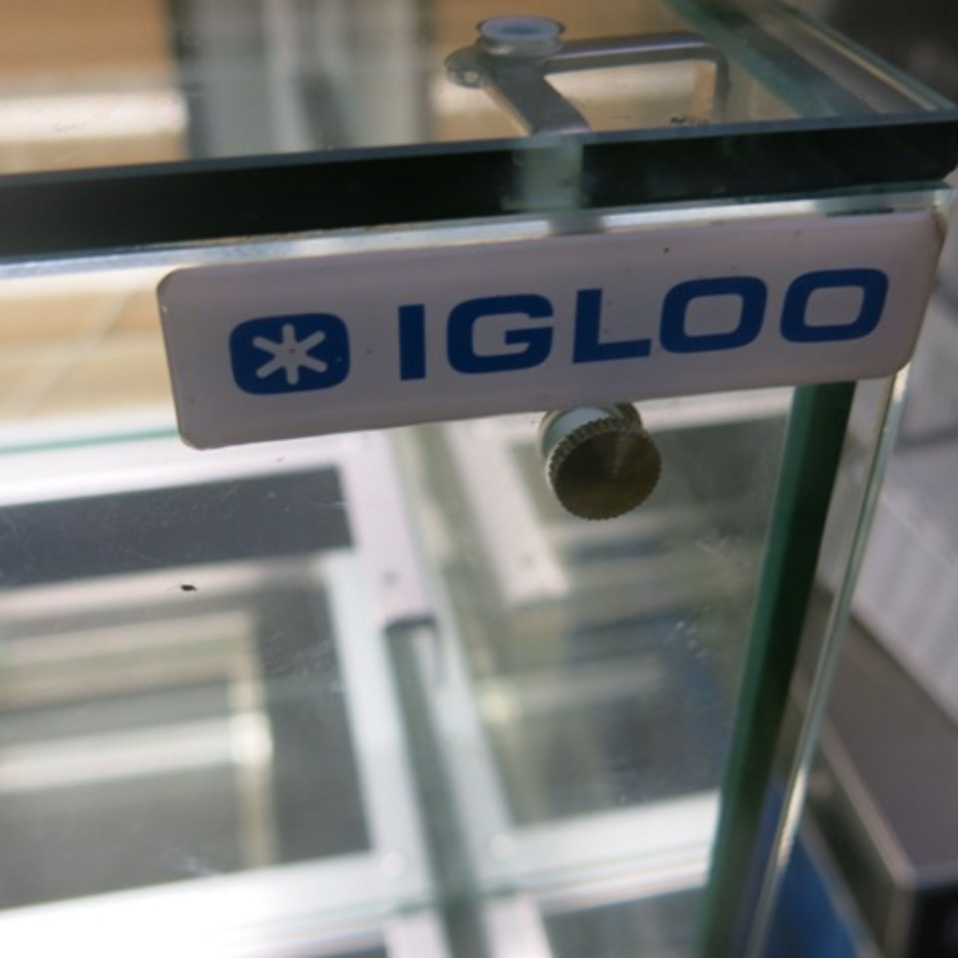 Igloo Refrigerated Glass Display Cabinet with Rear Door & 2 Glass Shelves, Model Gastroline Cube 0. - Image 2 of 7
