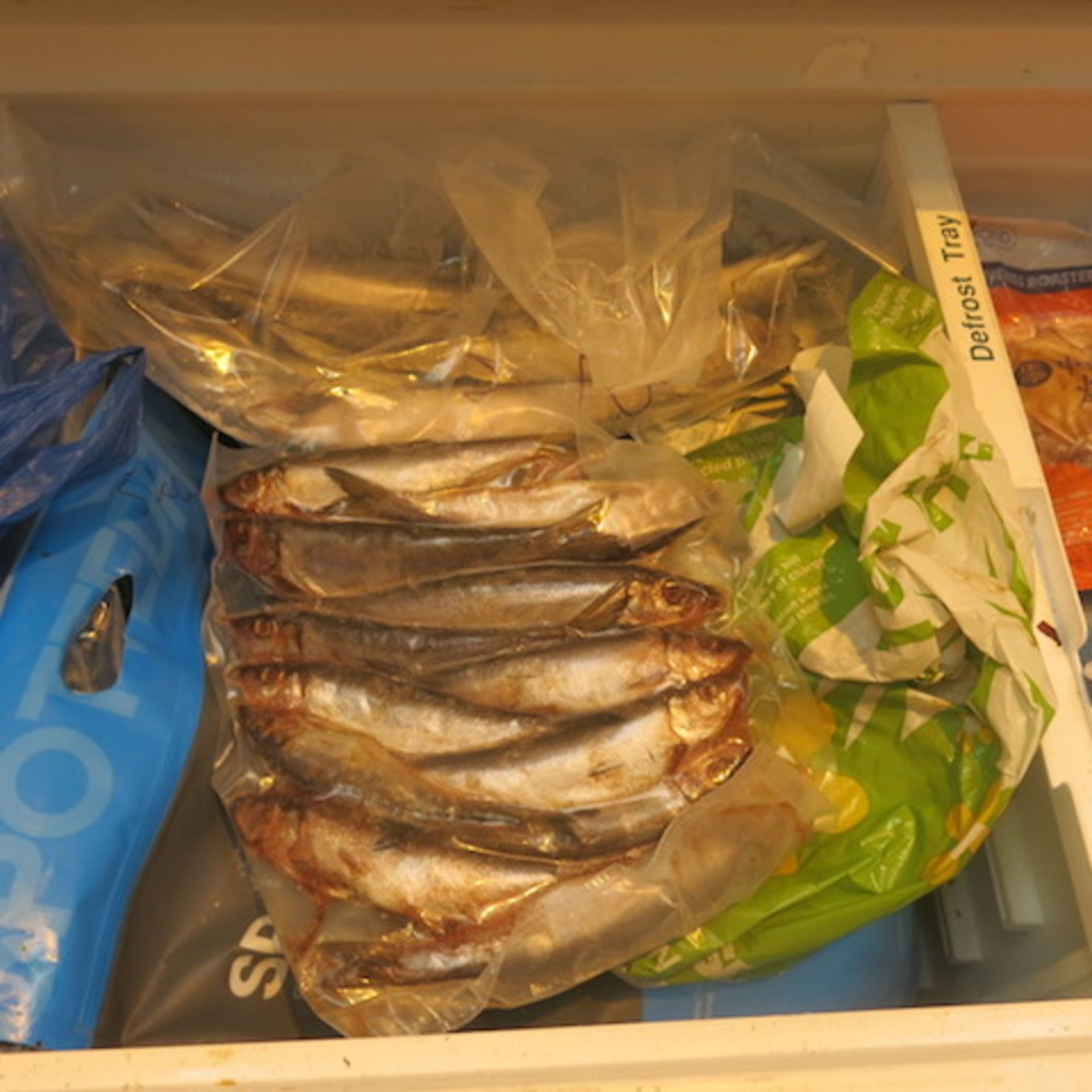 1 x Scandinavia Chest Freezers with a Qty of Frozen Predator Sea Fish Bait, (As Viewed/Pictured. - Image 7 of 13