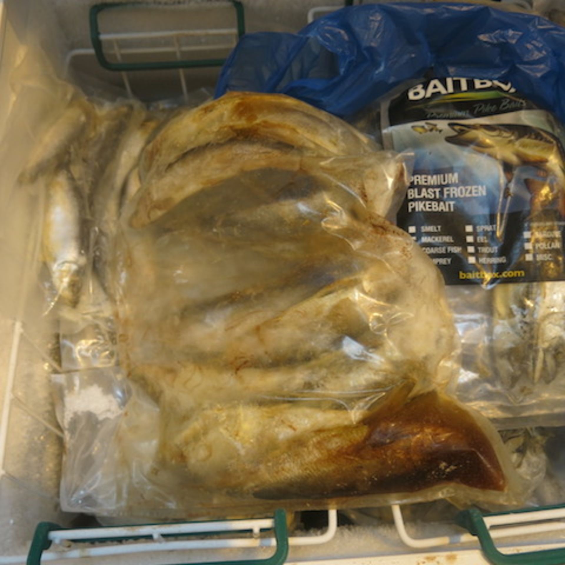 1 x Scandinavia Chest Freezers with a Qty of Frozen Predator Sea Fish Bait, (As Viewed/Pictured. - Image 9 of 13