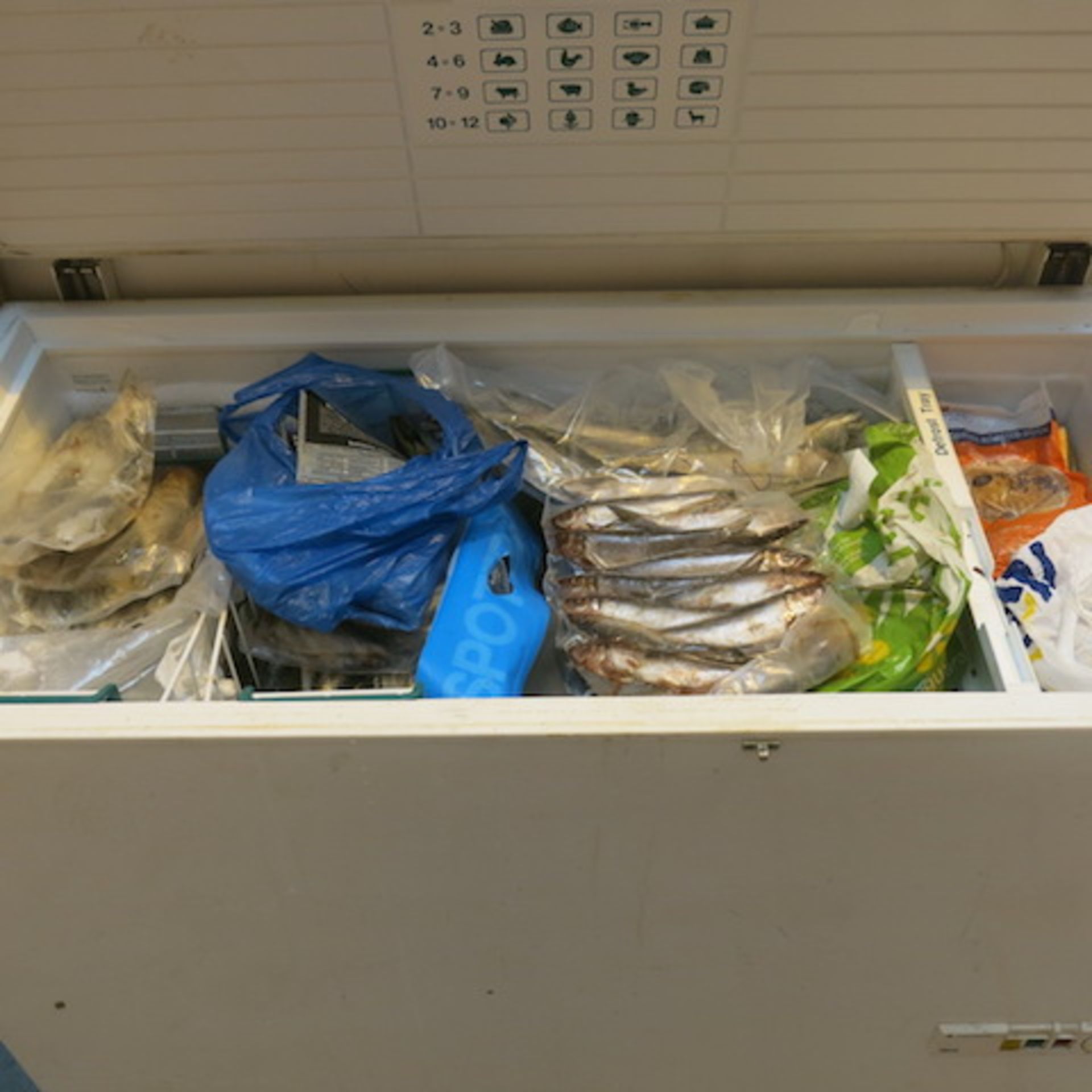 1 x Scandinavia Chest Freezers with a Qty of Frozen Predator Sea Fish Bait, (As Viewed/Pictured. - Image 6 of 13