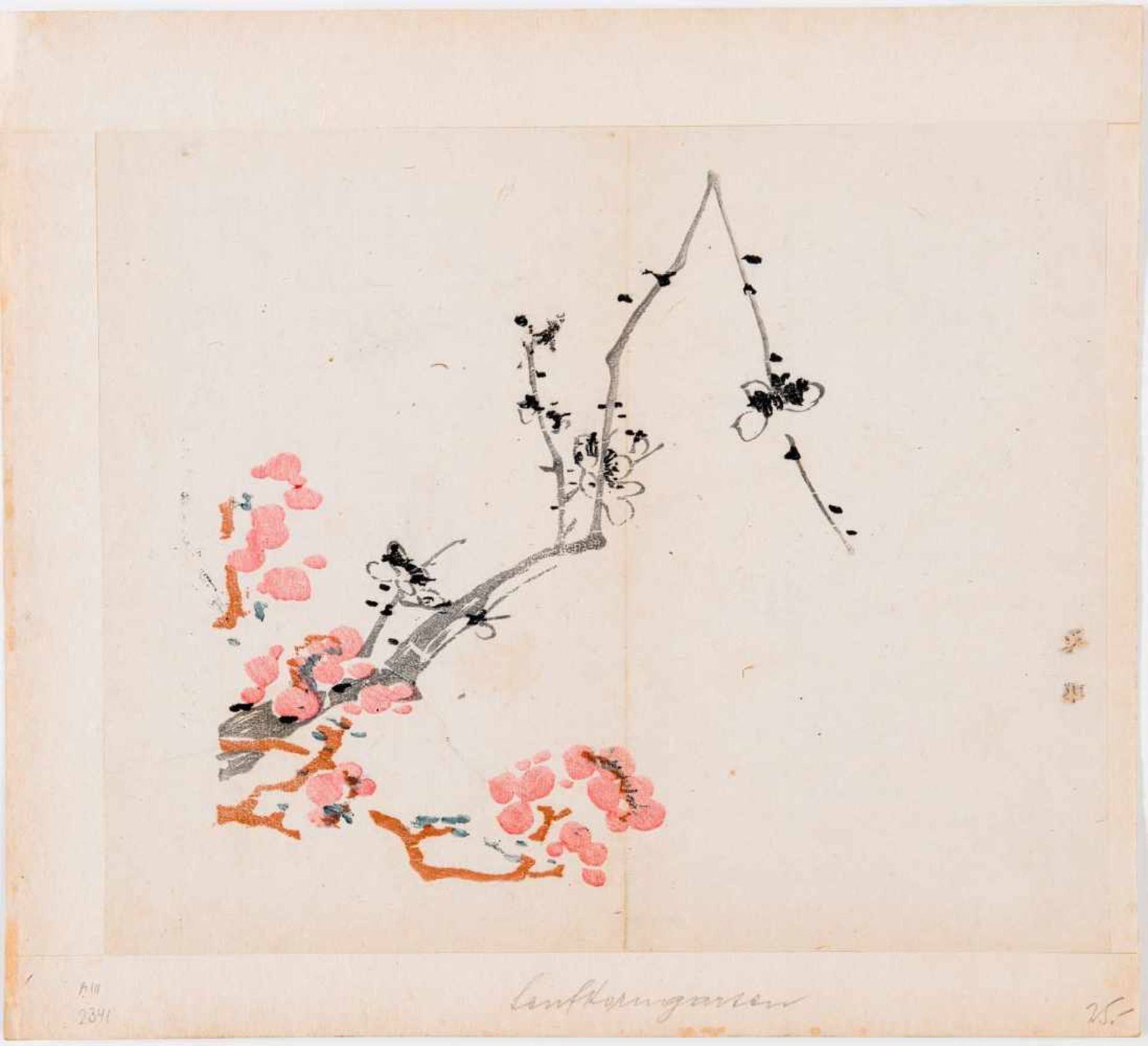 FLOWERING PRUNE Paper. China, 18th century From the series “Mustard Garden” Aus der Folge „