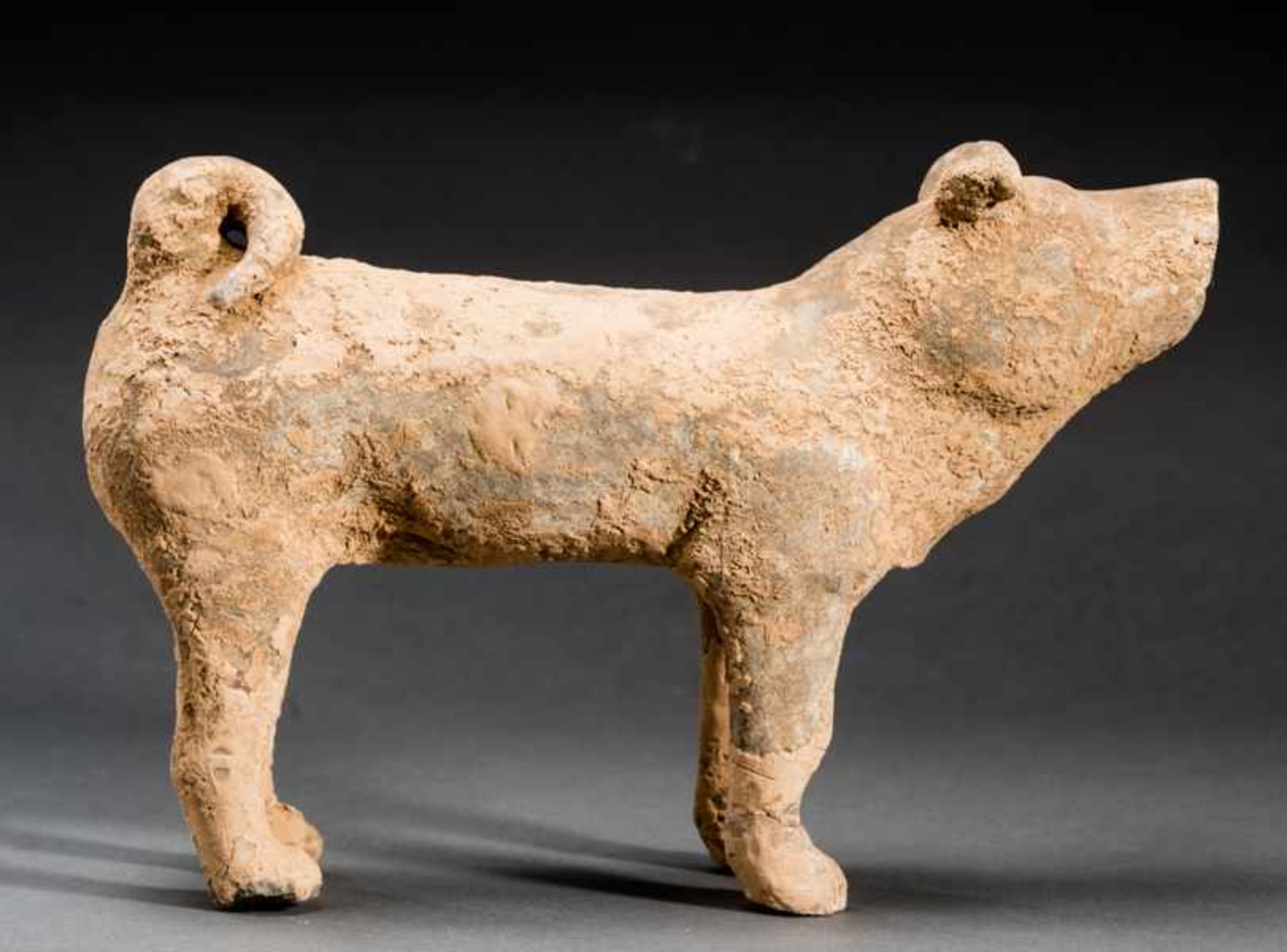 DOG Terracotta. China, Han dynasty(206 BCE - 220 CE)陶狗A dog like many in this world, alert and - Image 4 of 6