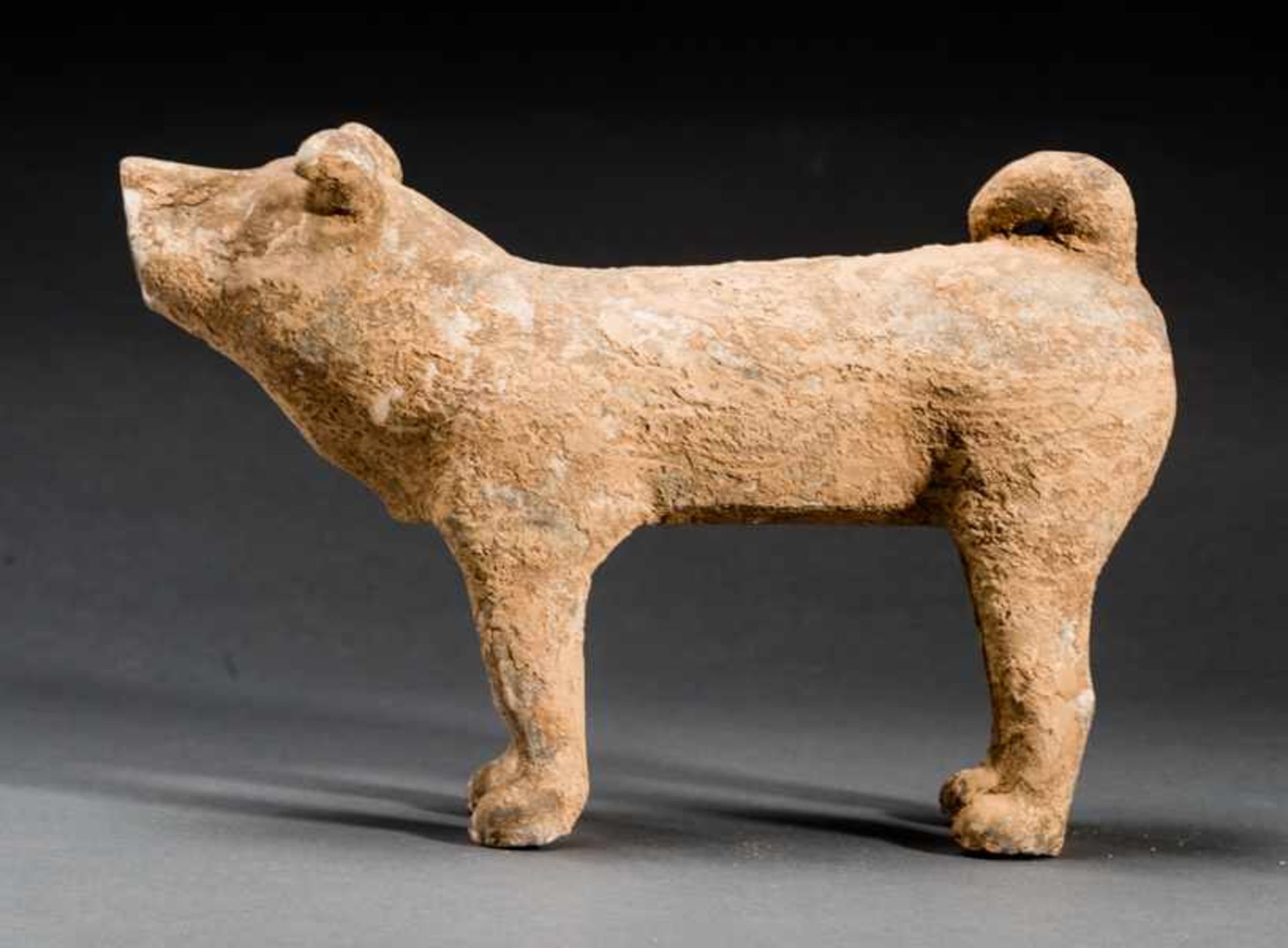 DOG Terracotta. China, Han dynasty(206 BCE - 220 CE)陶狗A dog like many in this world, alert and - Image 3 of 6