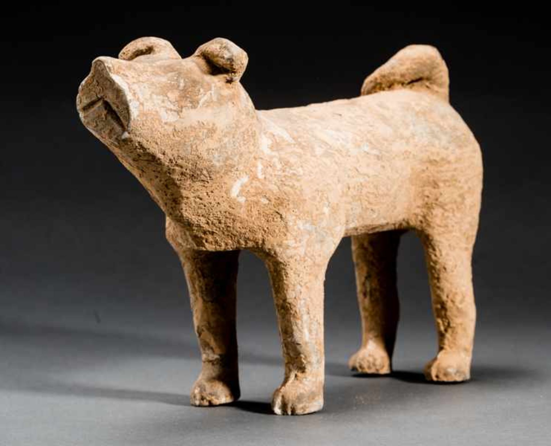 DOG Terracotta. China, Han dynasty(206 BCE - 220 CE)陶狗A dog like many in this world, alert and - Image 2 of 6