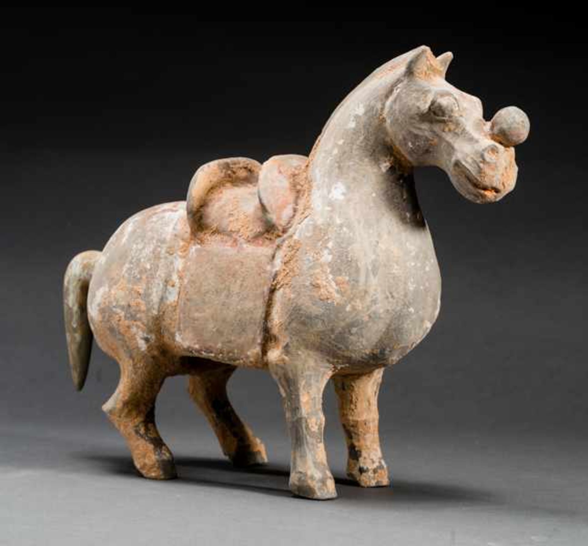 HORSE WITH POMMEL Terracotta with remnants of original painting. China, Jin dynasty (265-420) - Bild 2 aus 5