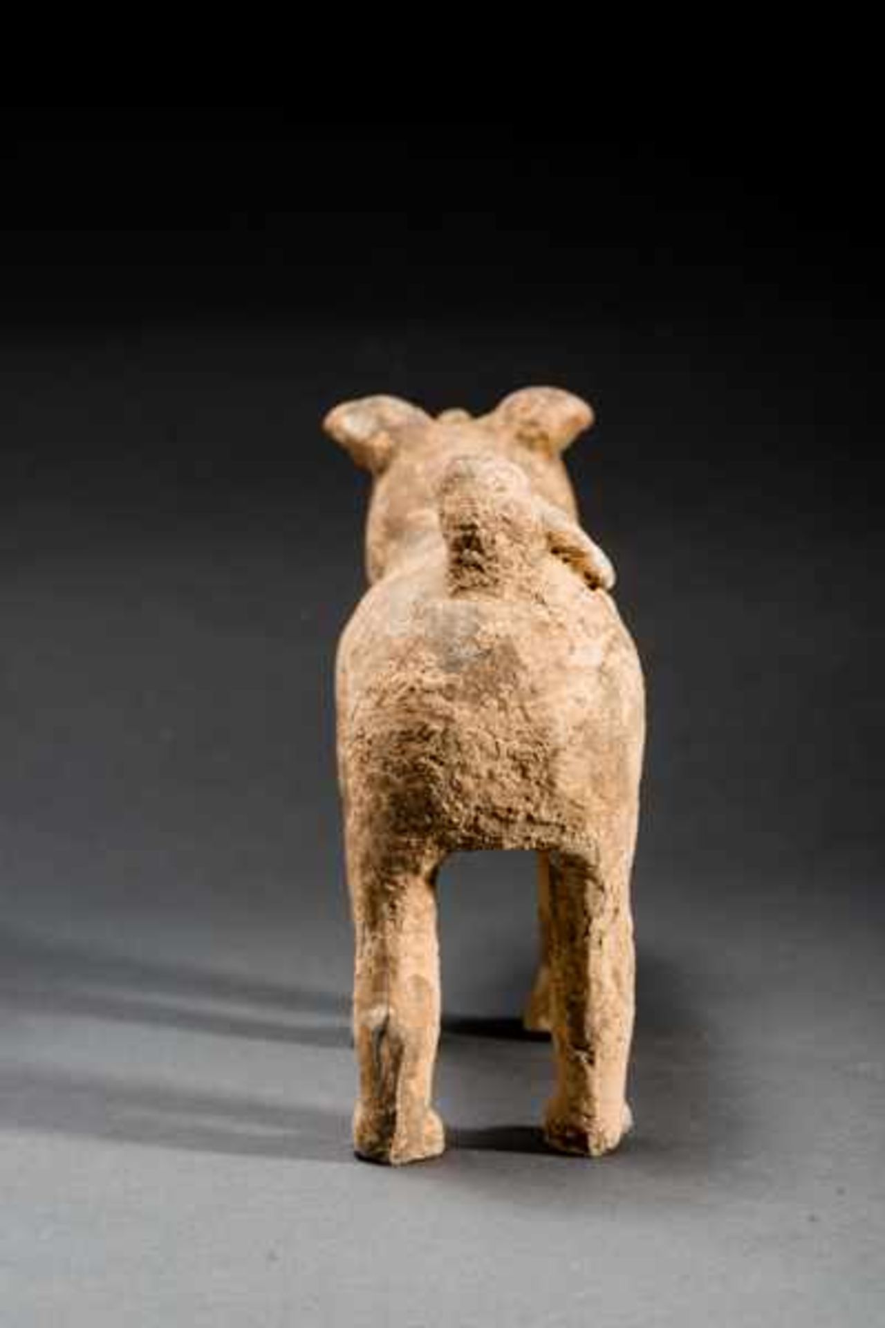 DOG Terracotta. China, Han dynasty(206 BCE - 220 CE)陶狗A dog like many in this world, alert and - Image 5 of 6