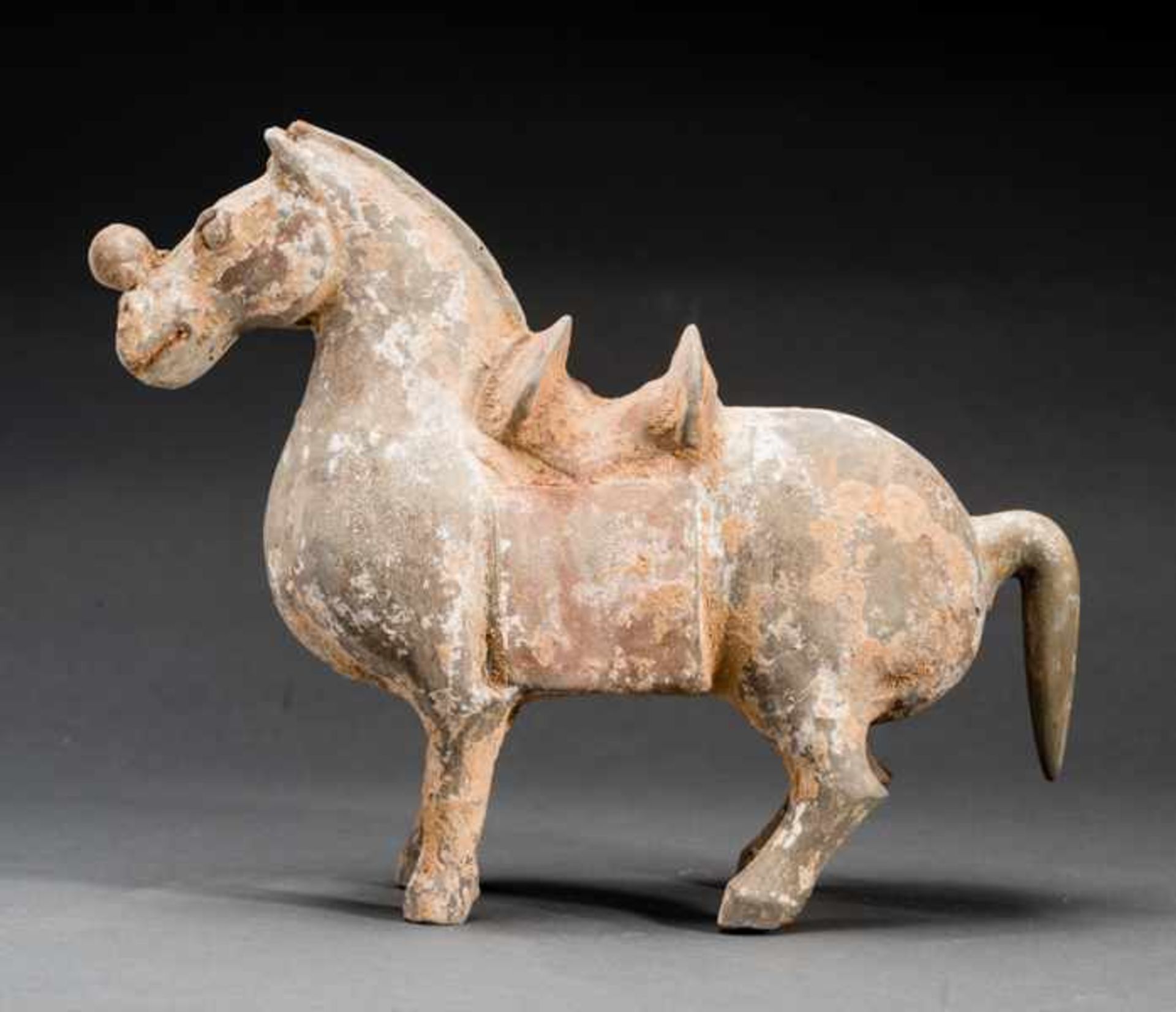 HORSE WITH POMMEL Terracotta with remnants of original painting. China, Jin dynasty (265-420) - Bild 4 aus 5