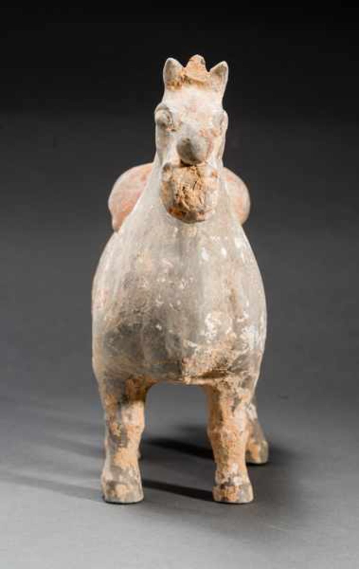 HORSE WITH POMMEL Terracotta with remnants of original painting. China, Jin dynasty (265-420) - Bild 3 aus 5