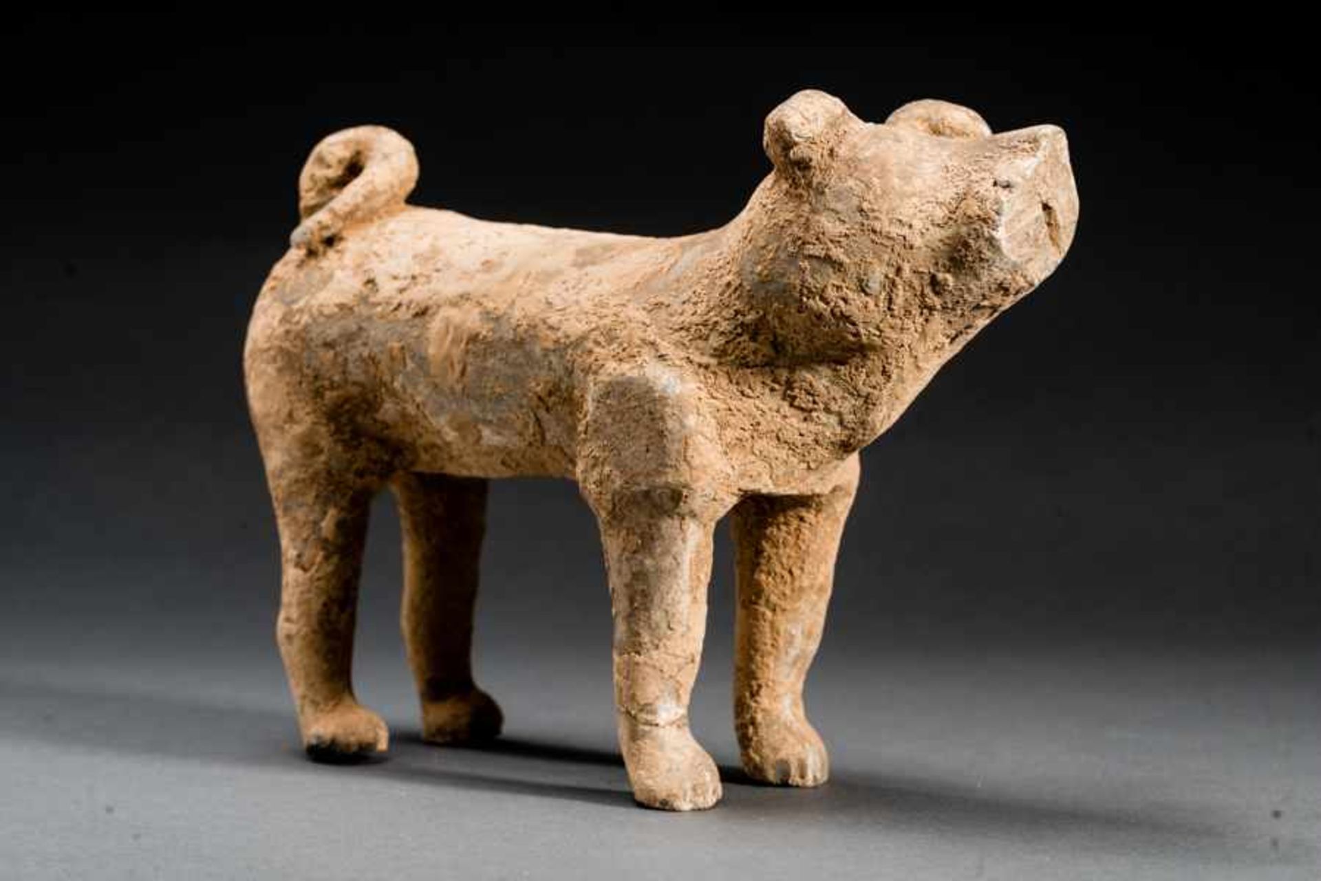 DOG Terracotta. China, Han dynasty(206 BCE - 220 CE)陶狗A dog like many in this world, alert and