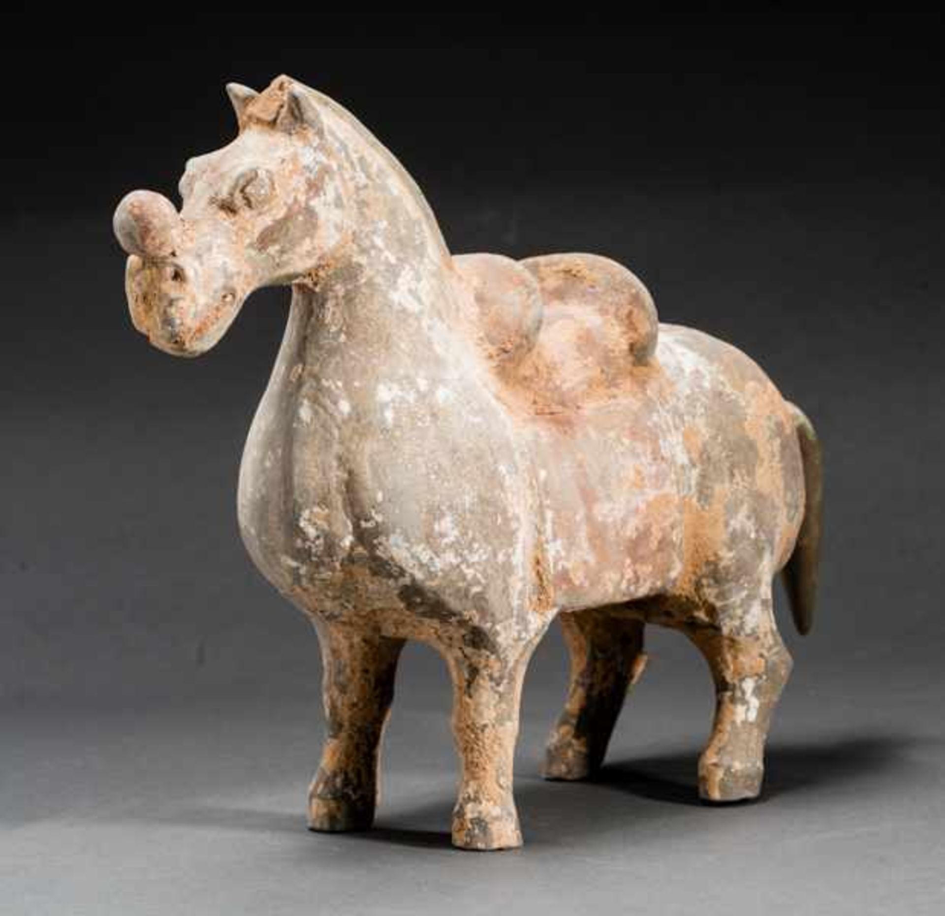 HORSE WITH POMMEL Terracotta with remnants of original painting. China, Jin dynasty (265-420)