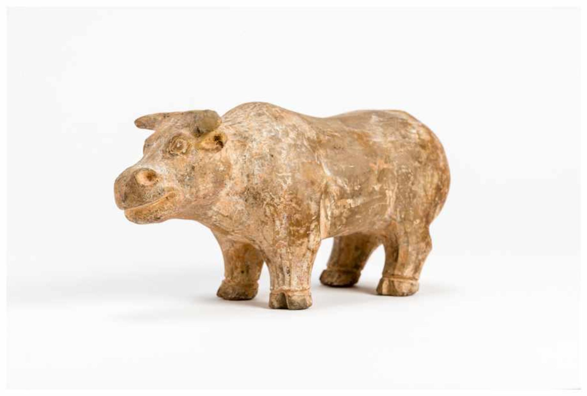 A TERRACOTTA MODEL OF AN OX Terracotta. China, Han dynasty (206 ante - 209 A.D.)A classic and fine - Image 2 of 6