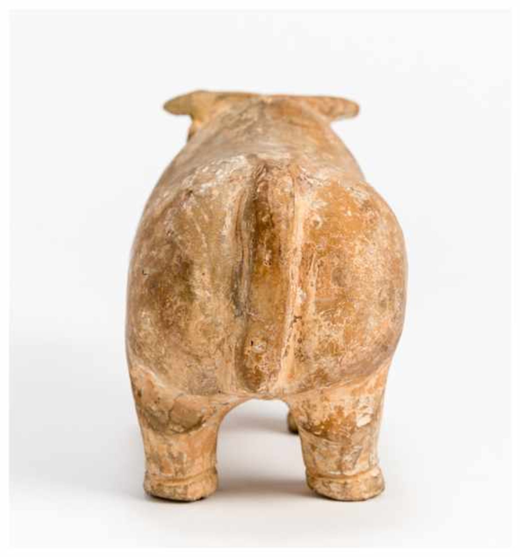 A TERRACOTTA MODEL OF AN OX Terracotta. China, Han dynasty (206 ante - 209 A.D.)A classic and fine - Image 4 of 6