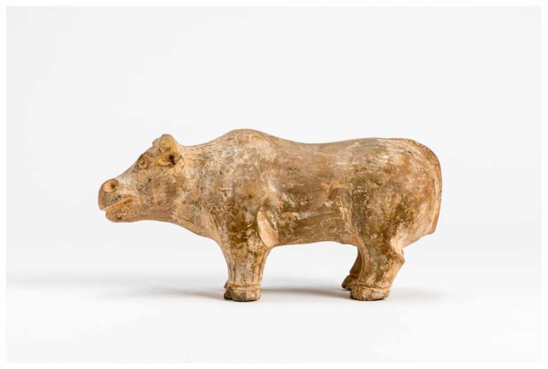 A TERRACOTTA MODEL OF AN OX Terracotta. China, Han dynasty (206 ante - 209 A.D.)A classic and fine - Image 3 of 6