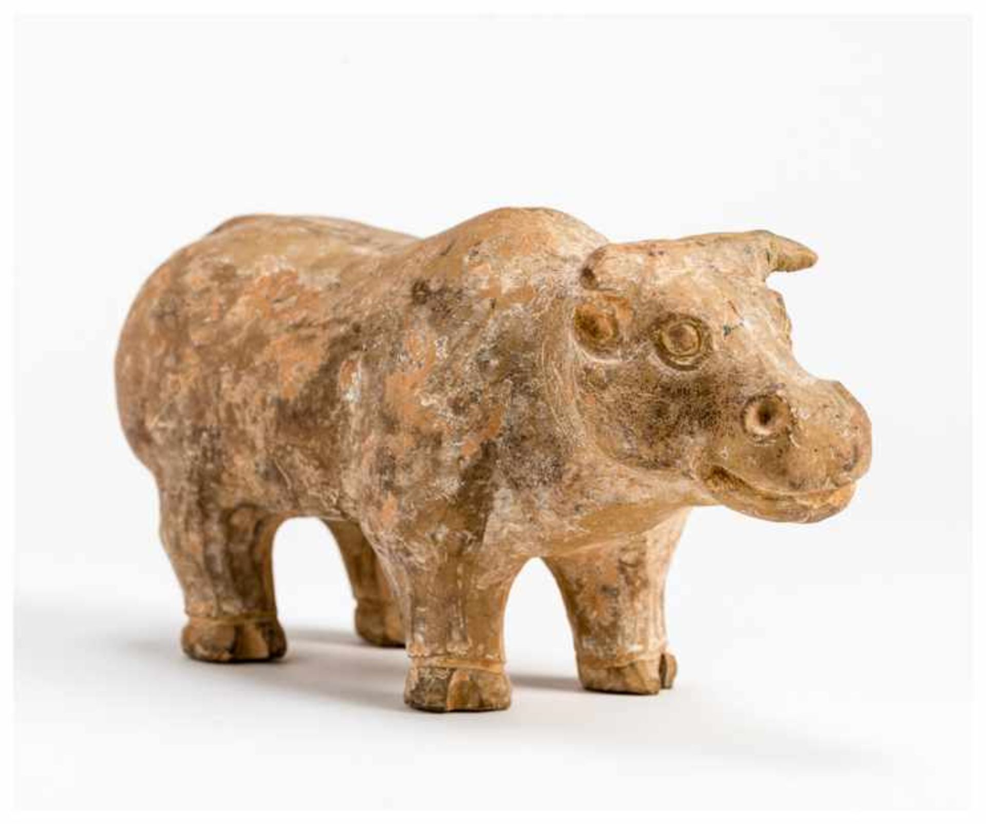 A TERRACOTTA MODEL OF AN OX Terracotta. China, Han dynasty (206 ante - 209 A.D.)A classic and fine