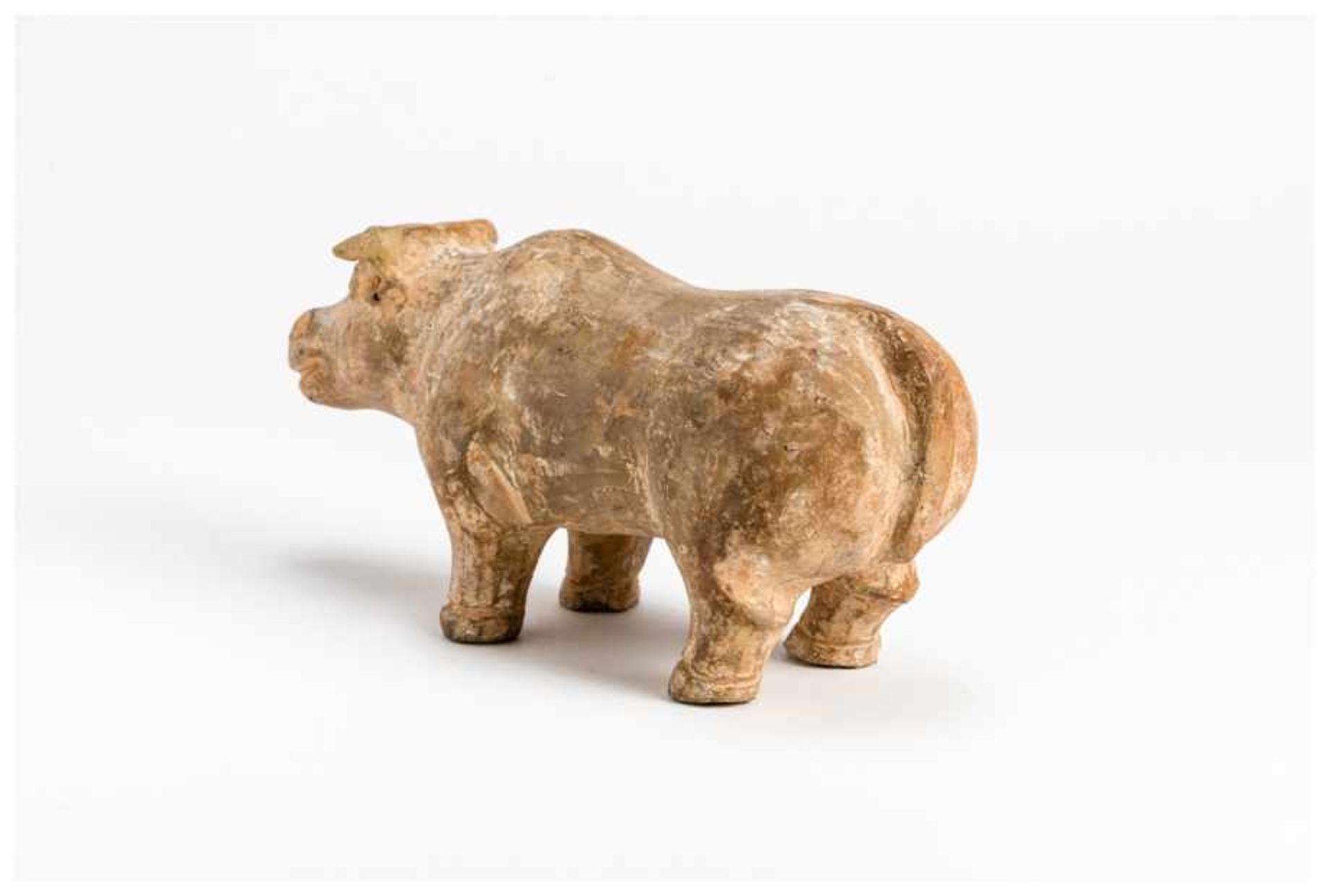 A TERRACOTTA MODEL OF AN OX Terracotta. China, Han dynasty (206 ante - 209 A.D.)A classic and fine - Image 5 of 6