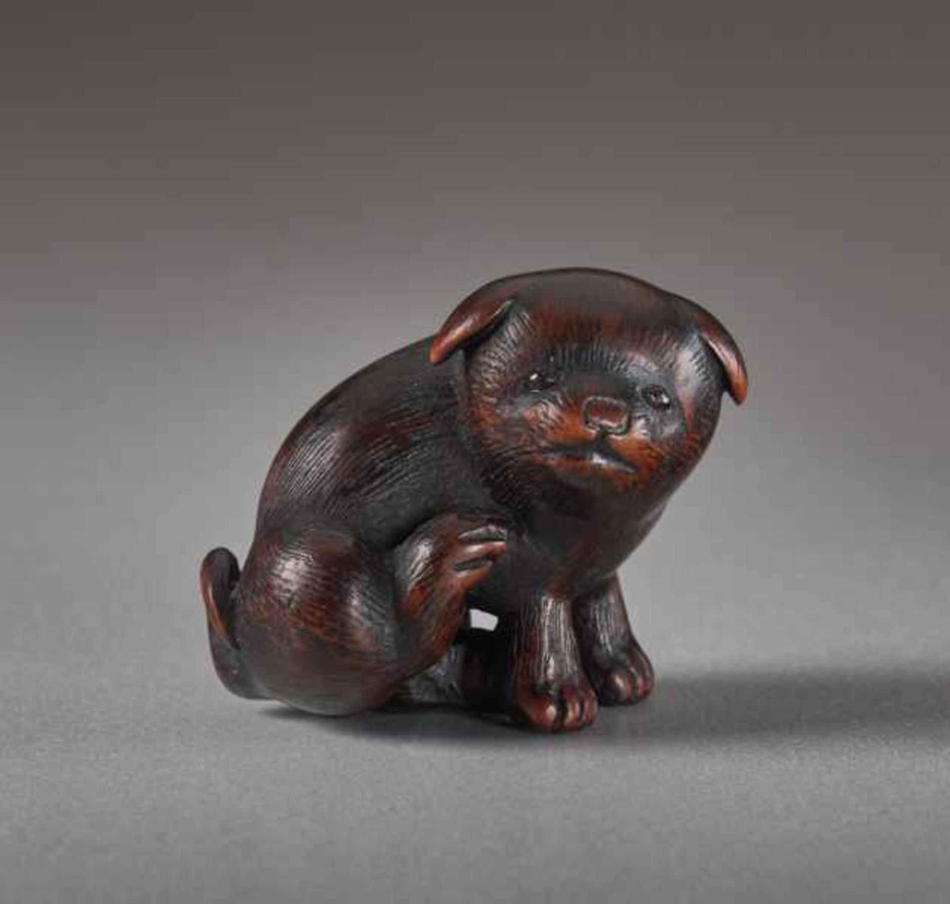 A WOOD NETSUK E BY KAGETOSHI OF A PUPPY Wood netsuke. Japan, first half of 19th centuryA - Image 6 of 6