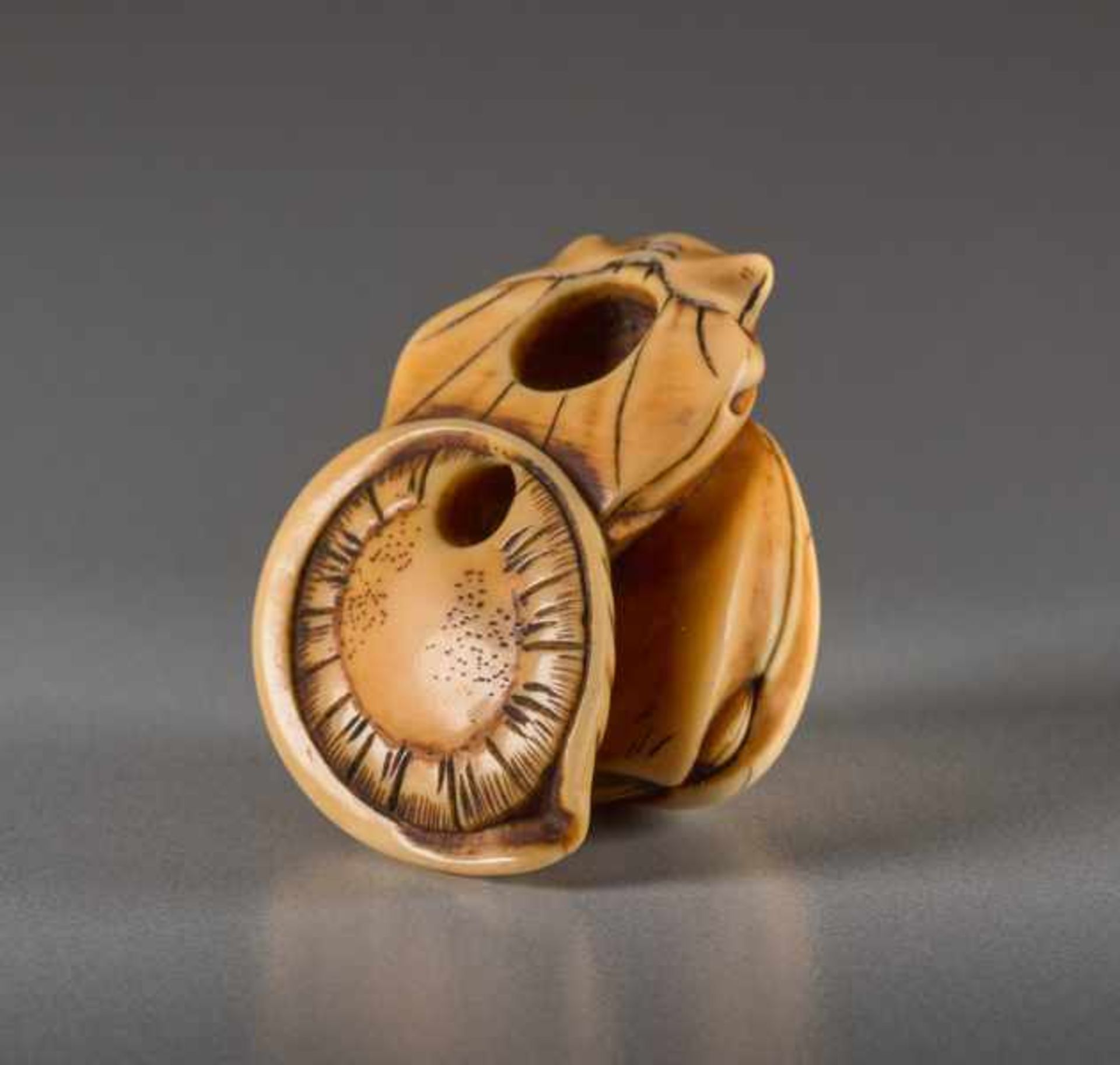 AN IVORY NETSUKE OF CLAMS AND MINOGAME Ivory netsuke. Japan, early 19th centuryA very finely crafted - Image 5 of 5