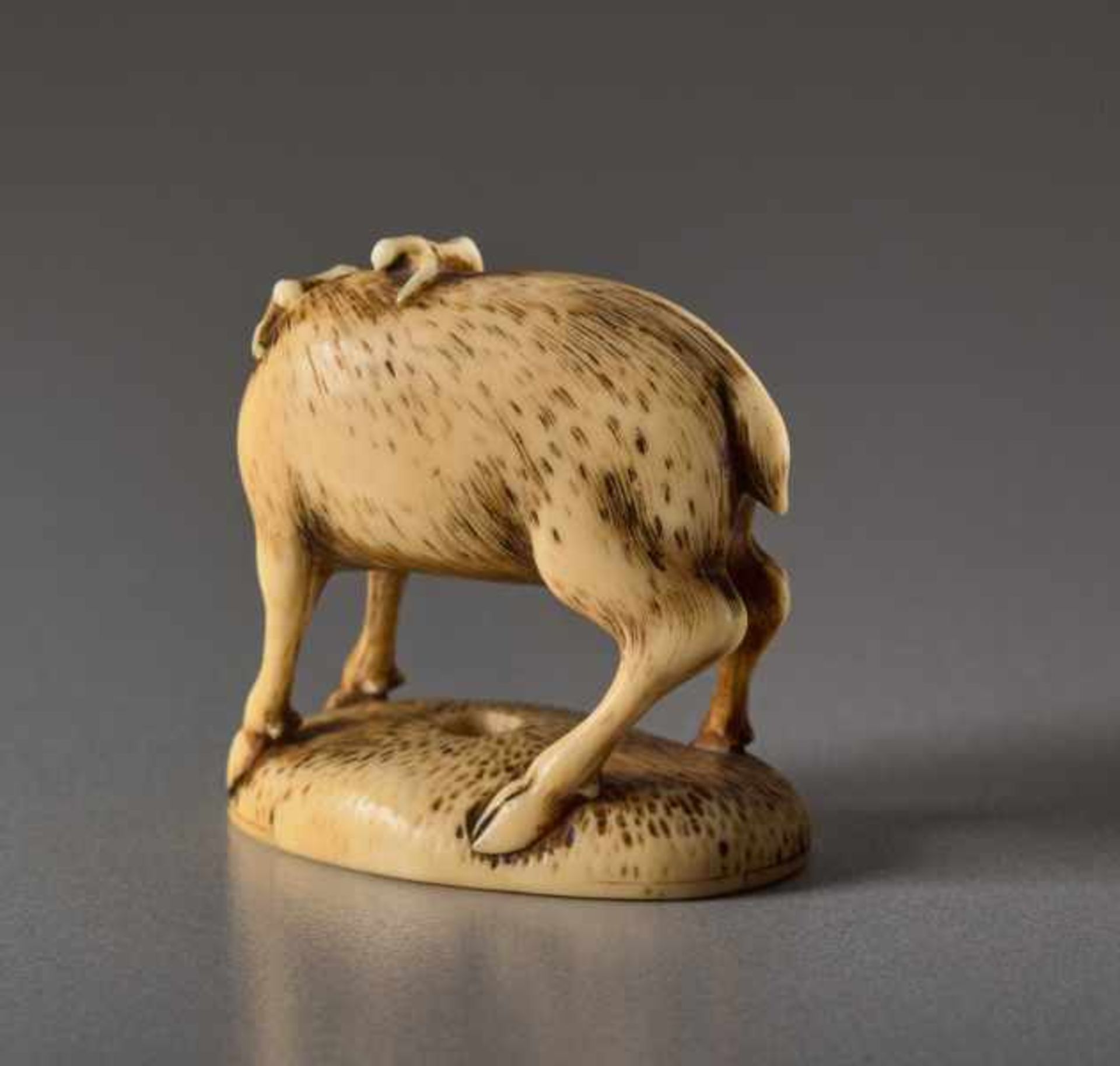 AN IVORY NETSUKE OF A DEER Ivory netsuke. Japan, 19th centuryThe deer, or shika in Japanese, is - Image 5 of 6