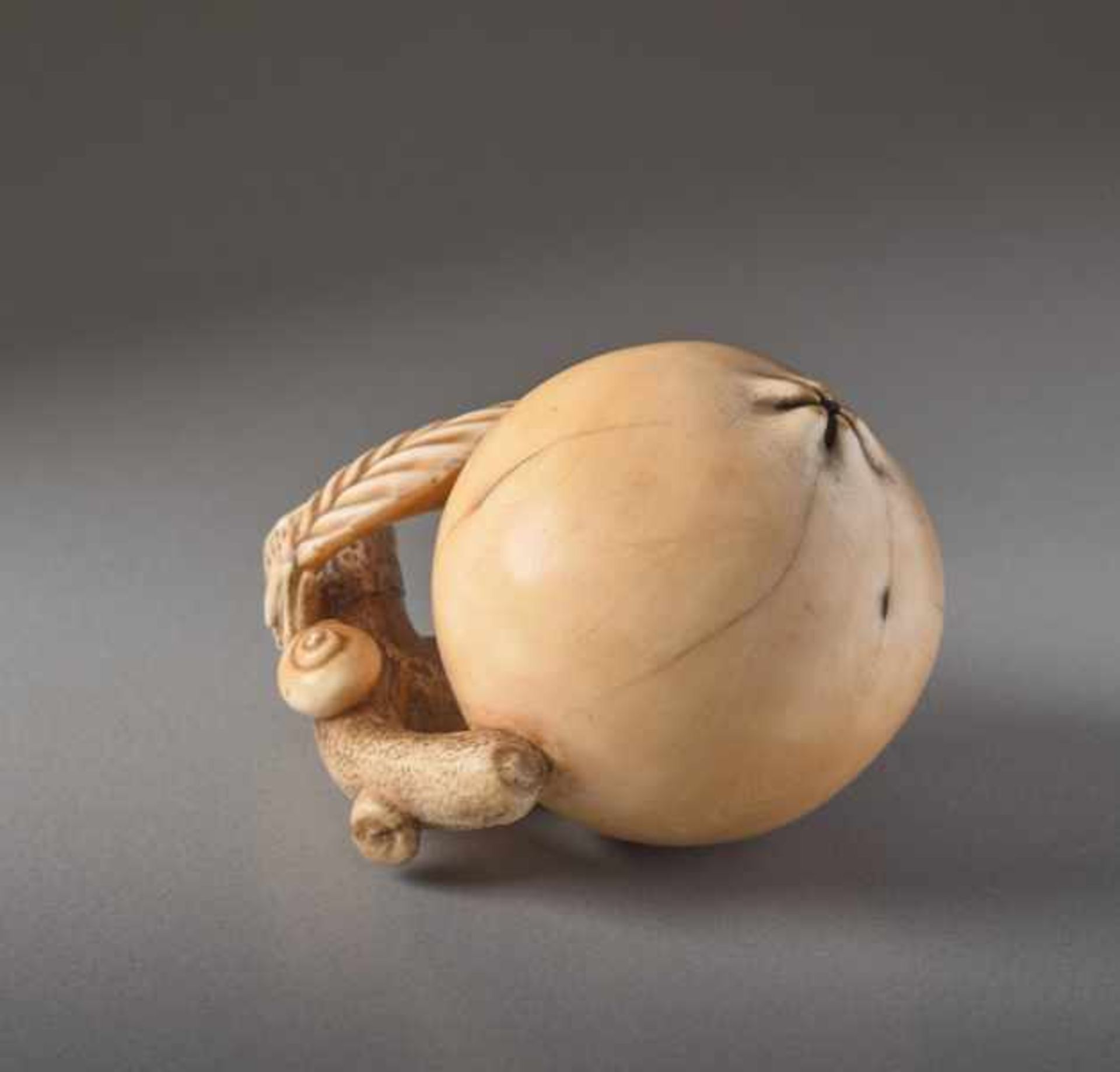 AN IVORY NETSUKE BY MITSUHIRO OF A BIWA FRUIT Ivory netsuke. Japan, 18th centuryThe loquat, a - Image 3 of 5