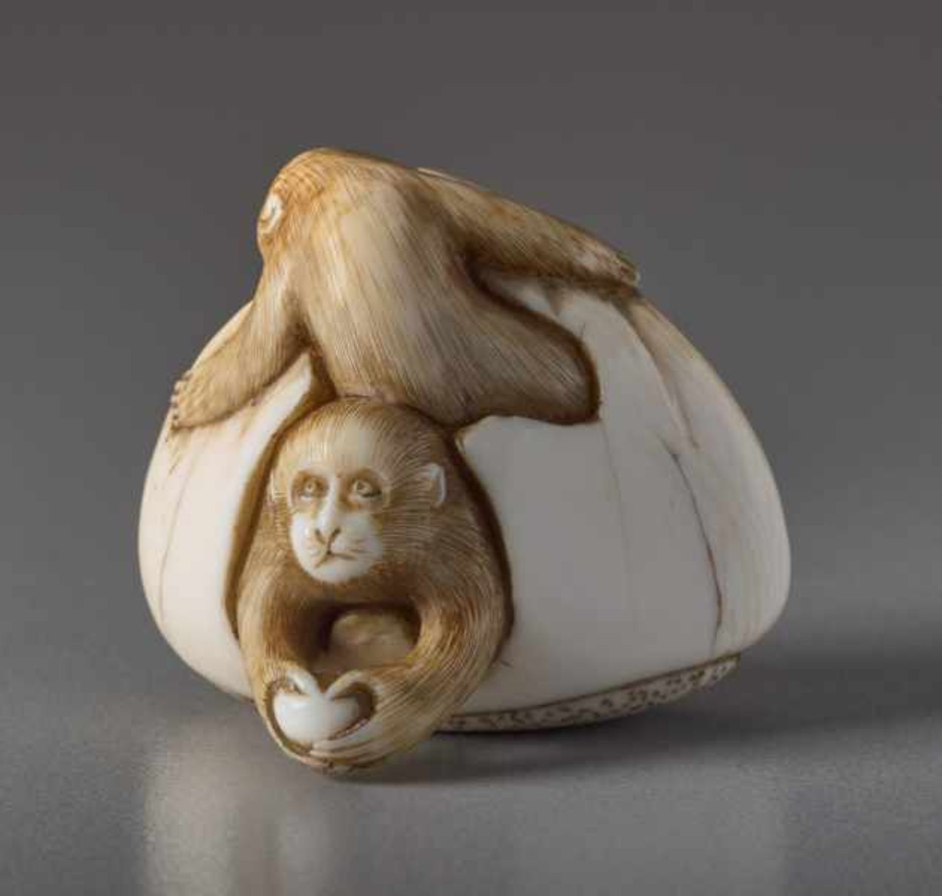 AN IVORY NETSUKE BY TOMOCHIKA OF MONKEYS IN A CHESTNUT Ivory netsuke. Japan, 19th centuryThis - Image 2 of 7