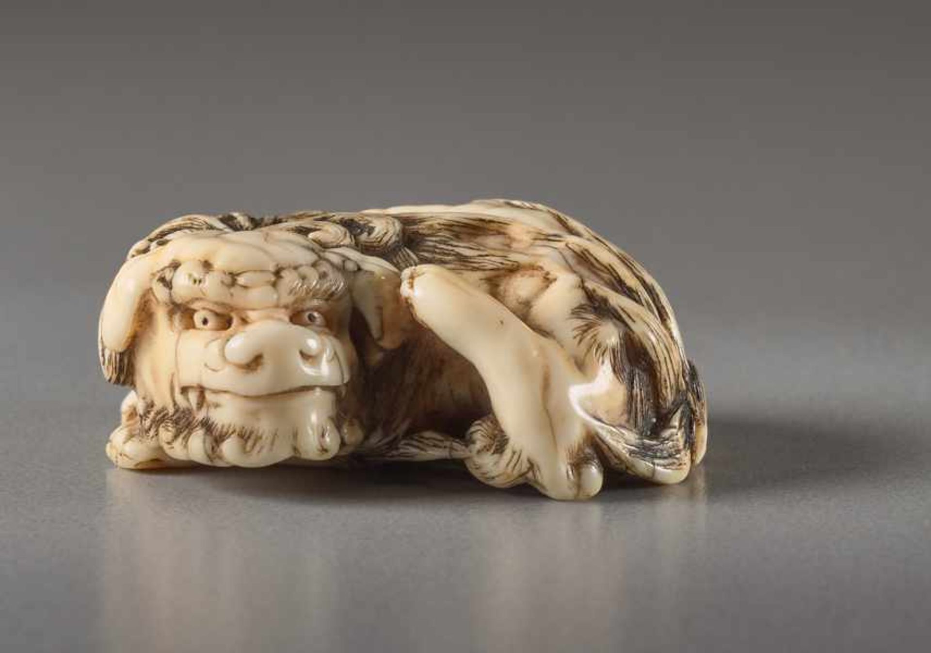 AN IVORY NETSUKE OF A RECUMBENT SHISHI Ivory netsuke. Japan, 19th centuryThis work features all