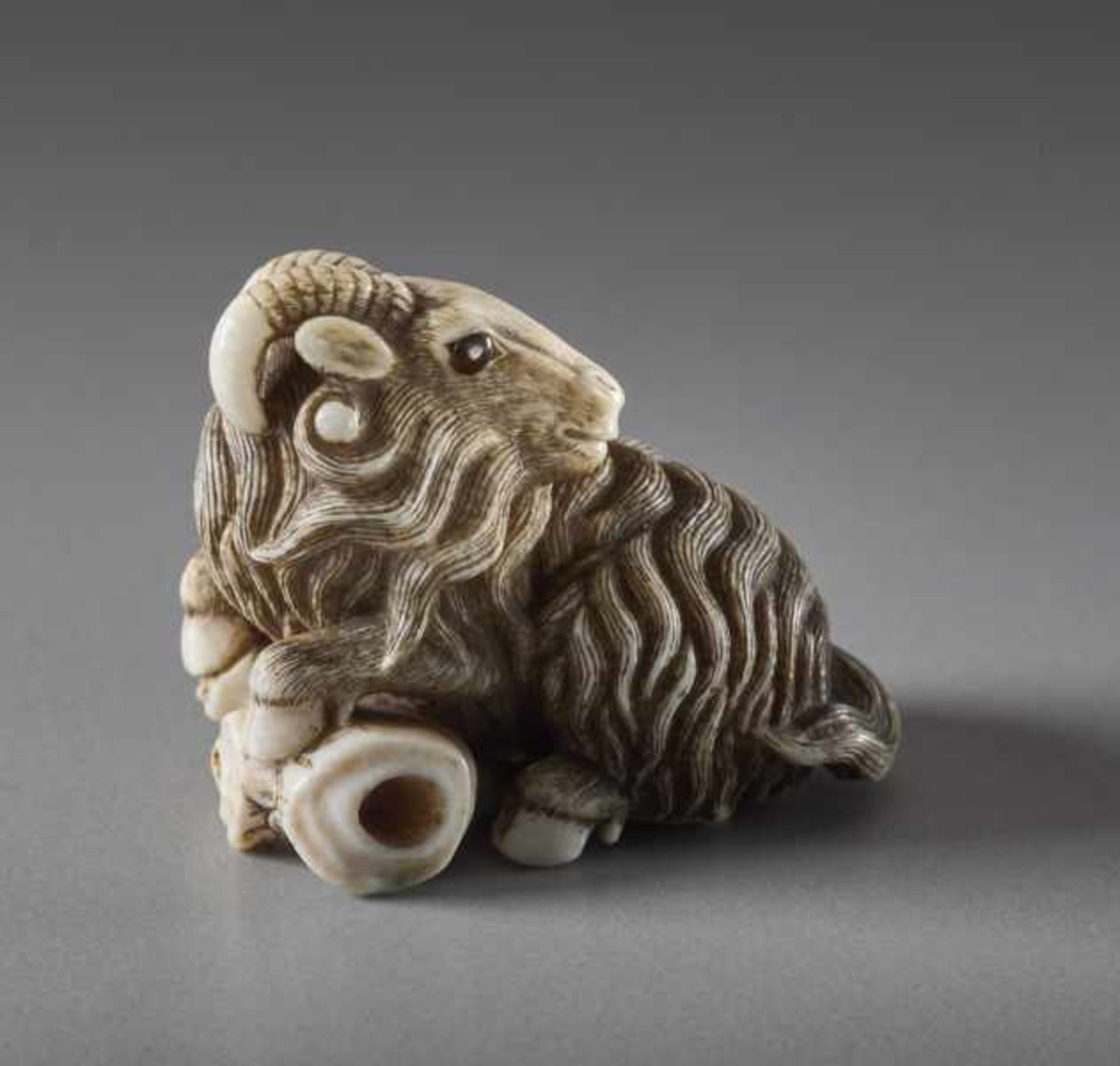 AN IVORY NETSUKE OF A GOAT Ivory netsuke. Japan, 18th centuryA masterfully executed netsuke of a - Image 3 of 5