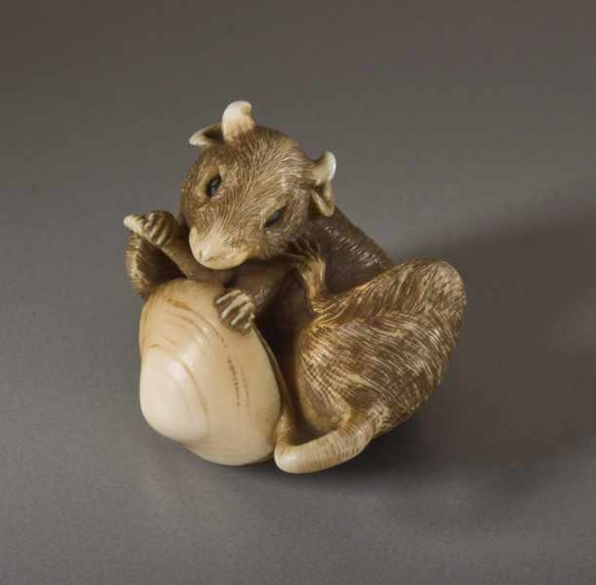 AN IVORY NETSUKE BY BISHU OF A RAT WITH ITS TAIL STUCK IN A CLAM Ivory netsuke. Japan, 20th