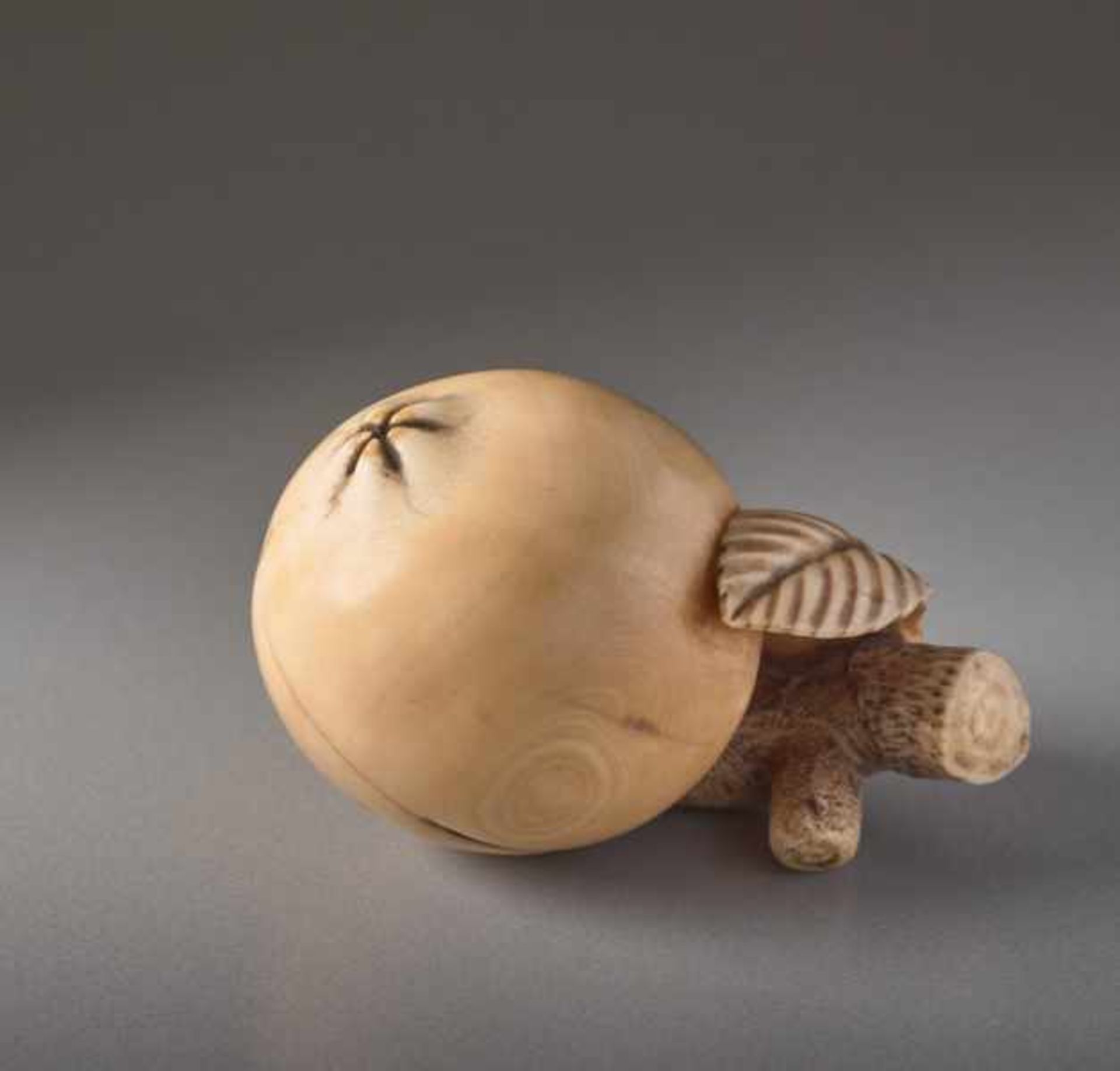 AN IVORY NETSUKE BY MITSUHIRO OF A BIWA FRUIT Ivory netsuke. Japan, 18th centuryThe loquat, a - Image 2 of 5