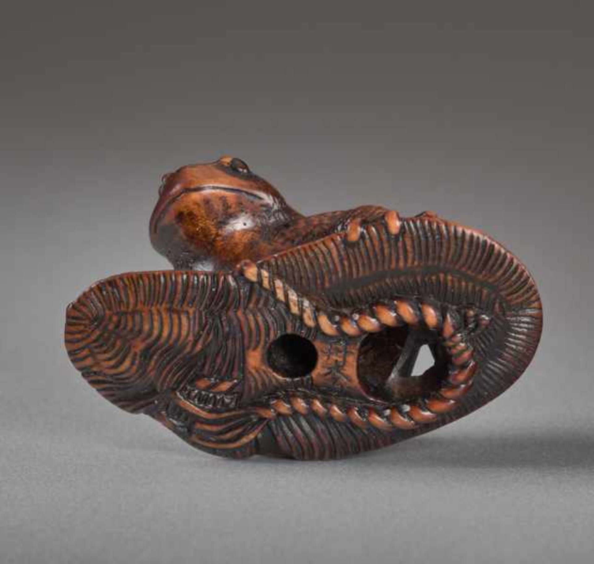 A WOOD NETSUK E BY TANRI OF A TOAD ON A SANDAL Wood netsuke. Japan, 19th centuryThis very finely - Image 5 of 5